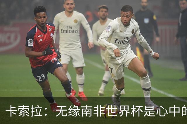 卡索拉：无缘南非世界杯是心中的刺