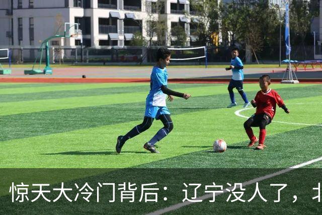 惊天大冷门背后：辽宁没人了，北京不敢动，杨鸣和李楠都在演戏？